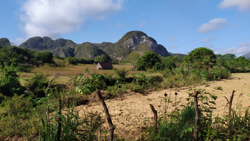 vinales